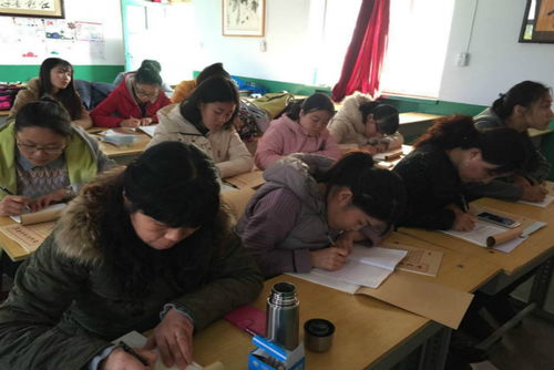 邢台市东关逸夫小学举行低年级书法培训活动